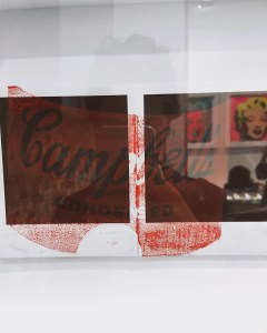 IMG_8518